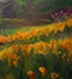 Spring 2007 4 Poppies